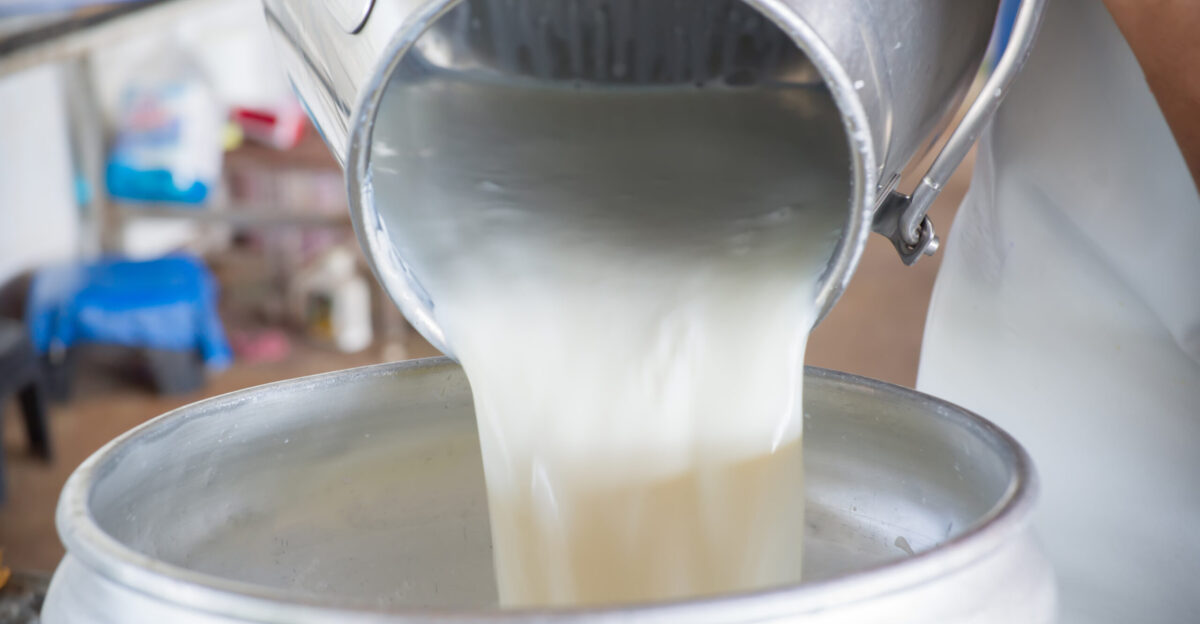 Raw Milk Agriculture and Markets